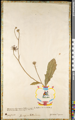 LE 01091769