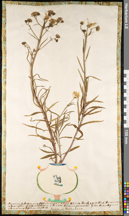 LE 01091770