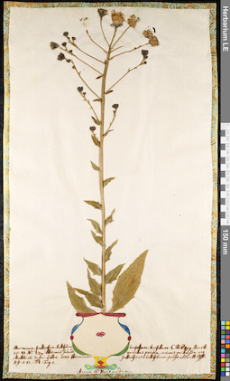 LE 01091772