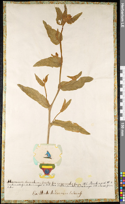 LE 01091774
