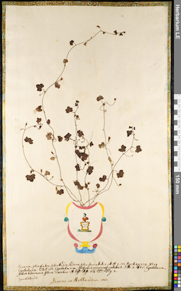 LE 01091782