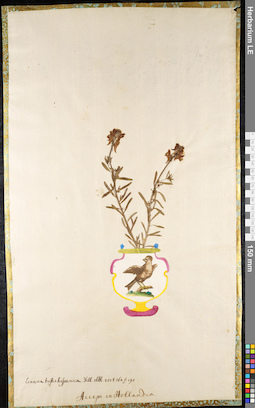 LE 01091783