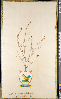 LE 01091784