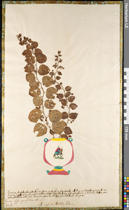 LE 01091786