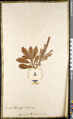LE 01091787