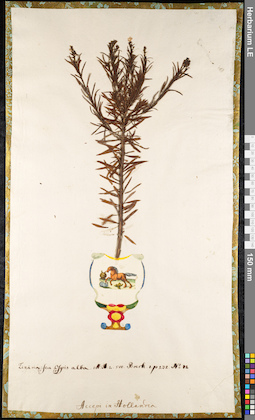 LE 01091788