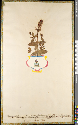 LE 01091790