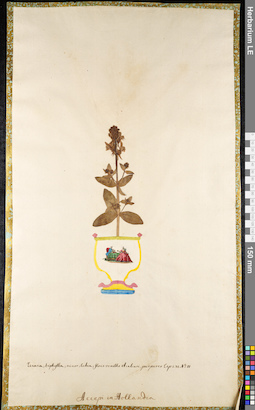 LE 01091791