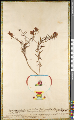 LE 01091792