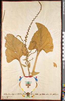 LE 01091794
