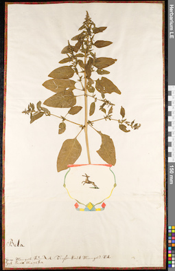 LE 01091795