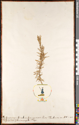 LE 01091799