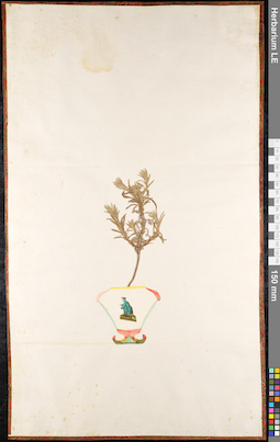 LE 01091801