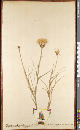 LE 01091802