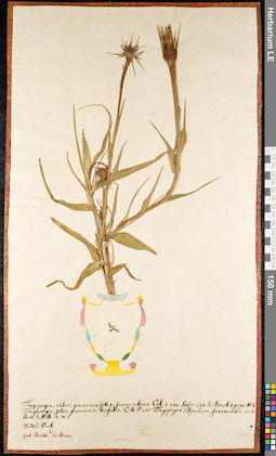 LE 01091805