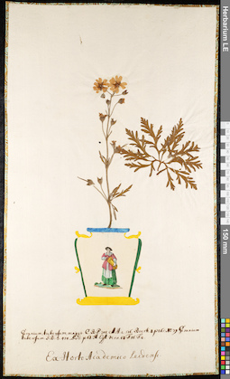 LE 01091828