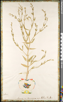 LE 01091891