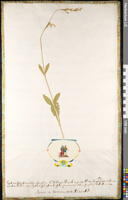 LE 01091892