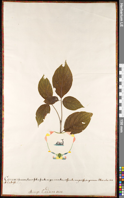 LE 01092054