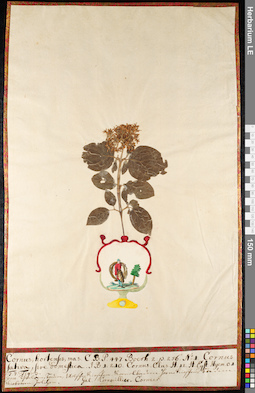 LE 01092055