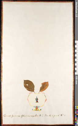 LE 01092056