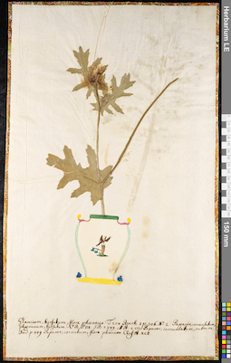 LE 01092074