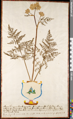 LE 01092080