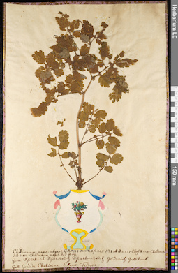 LE 01092083