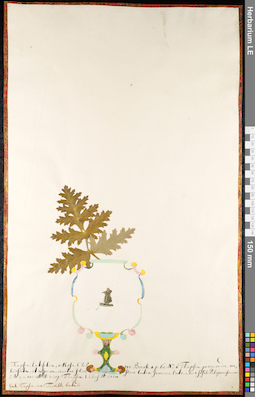 LE 01092085