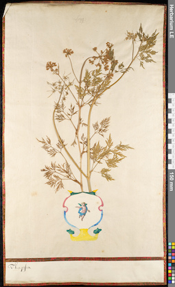LE 01092087