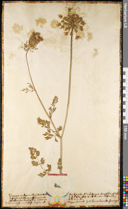 LE 01092088