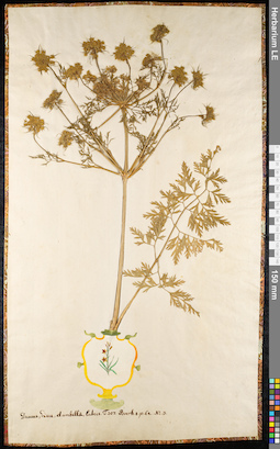 LE 01092089