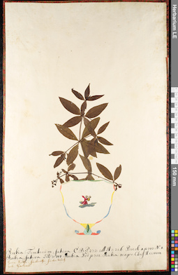LE 01092090