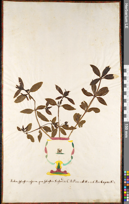 LE 01092091