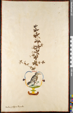LE 01092092