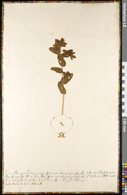 LE 01092100