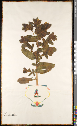 LE 01092103