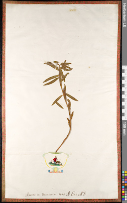 LE 01092120