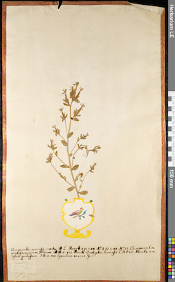 LE 01092152