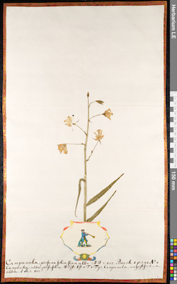 LE 01092159