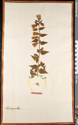 LE 01092167