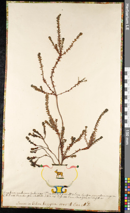 LE 01092180