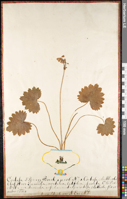 LE 01092191