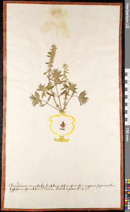 LE 01092268