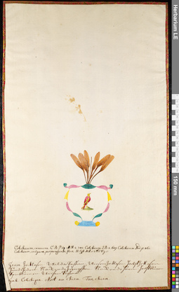 LE 01092285