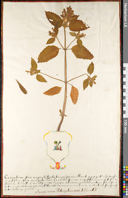 LE 01092307