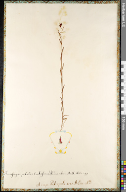 LE 01092316