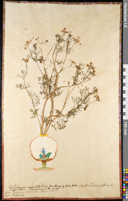 LE 01092324
