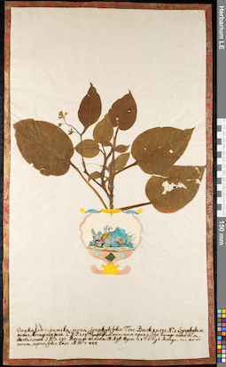 LE 01092333