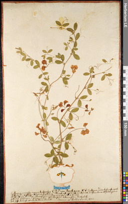 LE 01092357